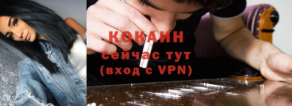 прущие крисы Пересвет