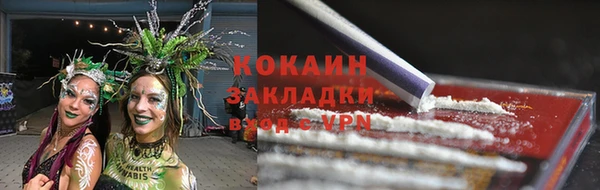 твердый Осинники