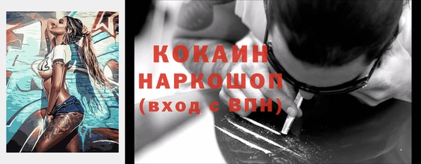 твердый Осинники