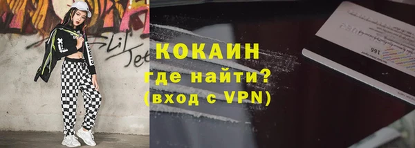 твердый Осинники