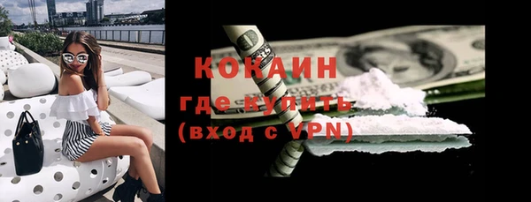 твердый Осинники