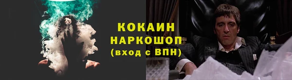 твердый Осинники