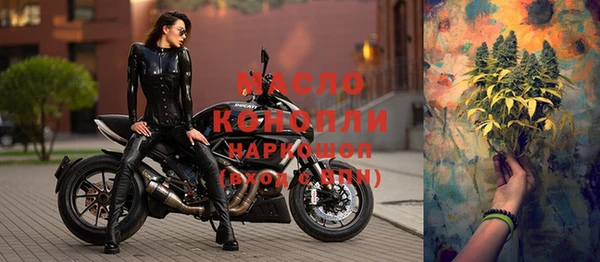 прущие грибы Няндома