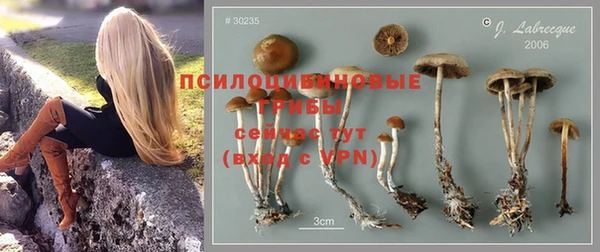 твердый Осинники