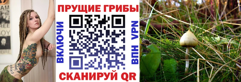 Галлюциногенные грибы MAGIC MUSHROOMS  Серов 