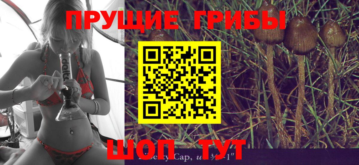 Серов  Псилоцибиновые грибы Psilocybe  Вход с VPN  где купить наркотик  Галлюциногенные грибы прущие грибы 