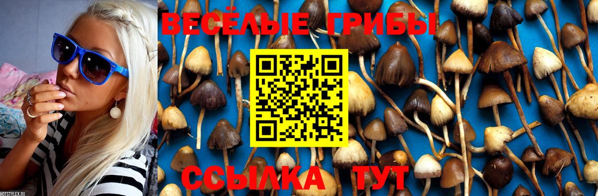 Псилоцибиновые грибы GOLDEN TEACHER Серов